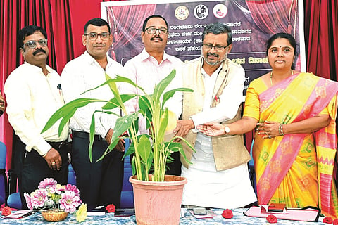 dvG-rangayana-nov-15_20241117014609865.jpg