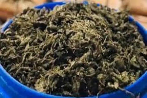 ganja