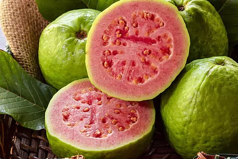 Guava