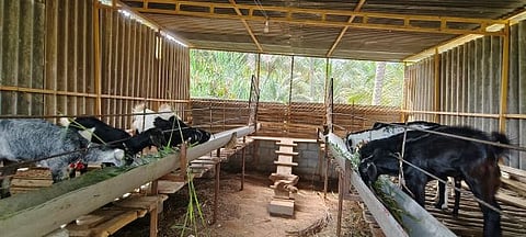 negilayogi magadi3