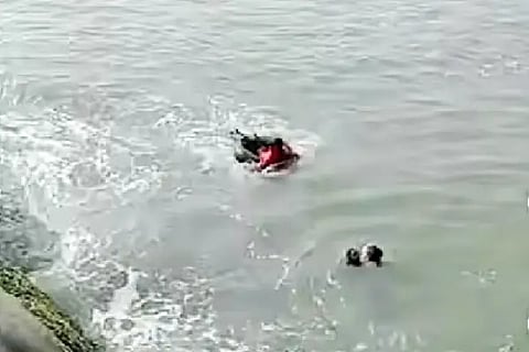 rescue