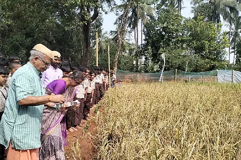 sneha