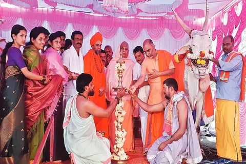 srb kodi mutt