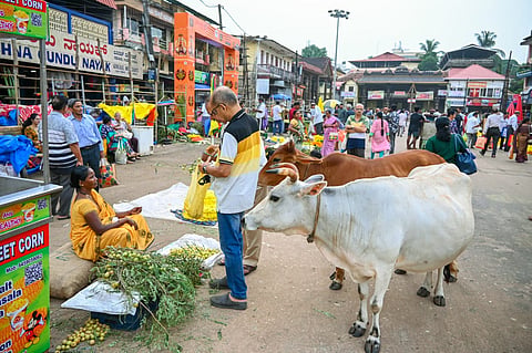 udp-12-lakshadeepa 2A