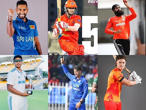 web ipl new