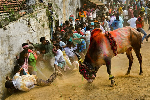 district koppal photo compitation the fear prakash kandakoor