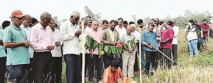 ಕರಿದಿಗಡ ಪೂಜೆ ನೆರವೇರಿಸುತ್ತಿರುವುದು.