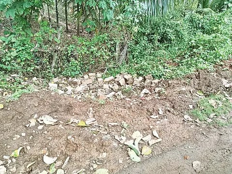 16ldh1 PIPELINE