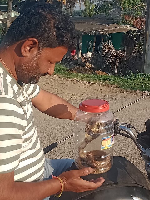 1734269648733