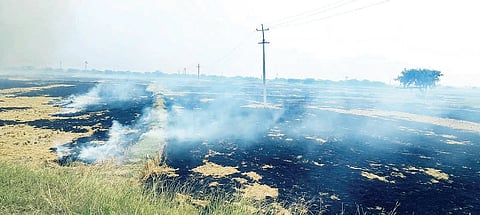 2012-KRT-SHARANAPPA 2