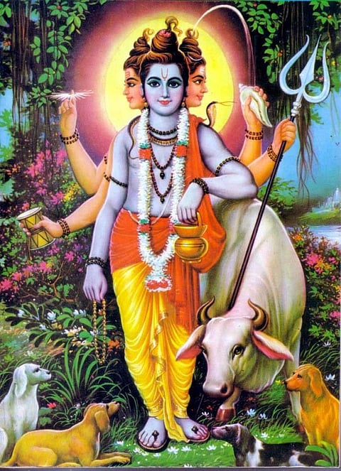 30 vikram 6