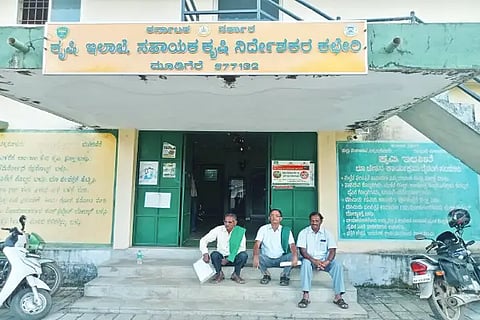 8mdg 1