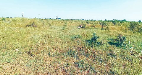 BYD MANE KANASU