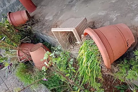 Bel_Flower pot