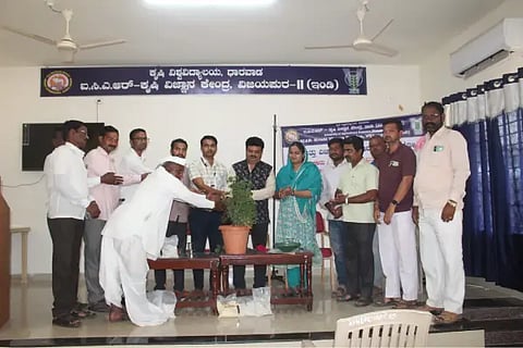 Crop, Production, Indi, Groundnut, Maize, Chickpea, Wheat, Sugarcane, Horticulture, Pomegranate, Grape, Lemon, Eggplant, Chilli, Agricultural Science Centre,