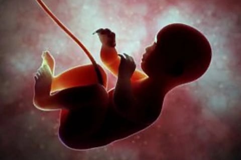 Foetus Stuck In Toilet