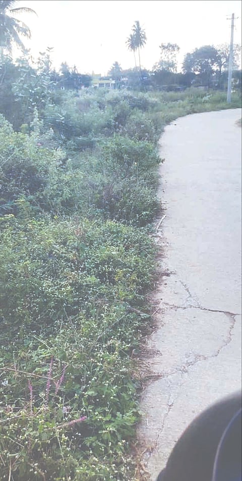 FotoJet