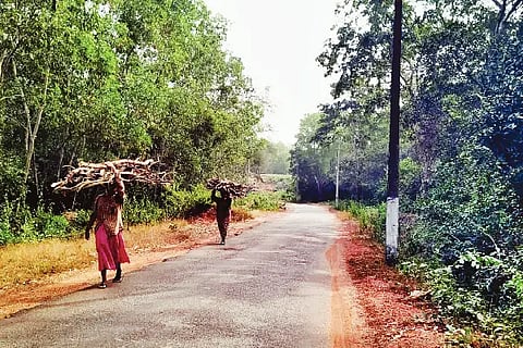 halakar
