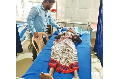 Honeybea Attack in Bhatkal