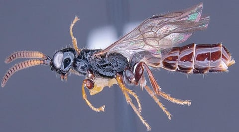 IMG-20241215-WA0018