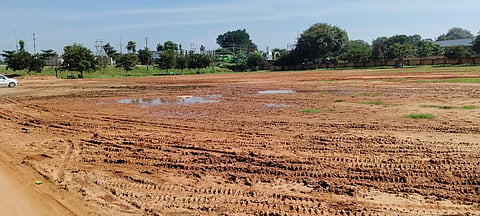 IMG_20241206_103820