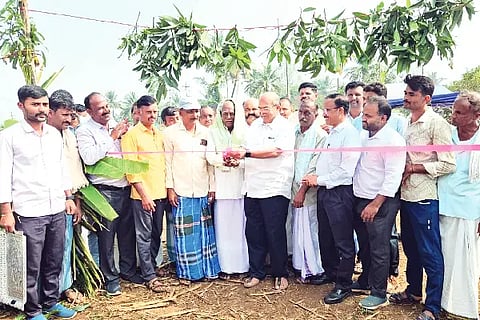 Improving the economic situation through dairy farming