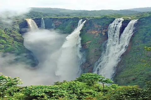 Jogfols in sagar dist