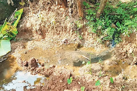 Kdb_Toilet water