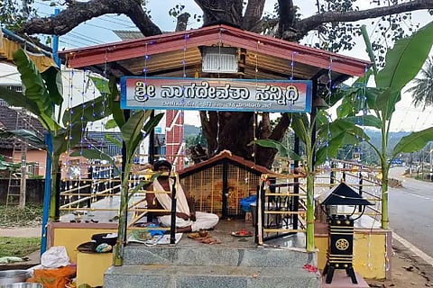 Koppa subra