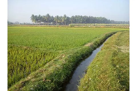 Minor irrigation
