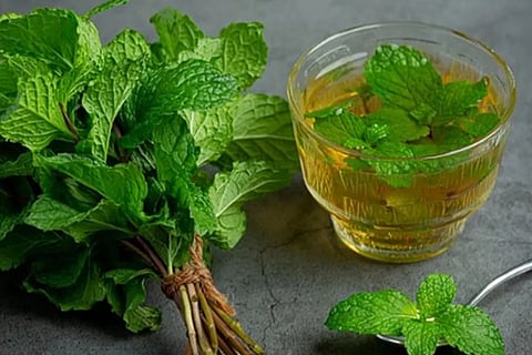 Mint Tea
