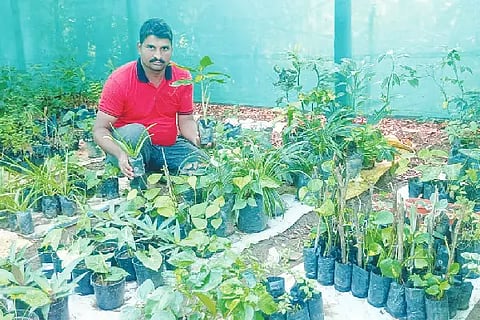 Nagaraj Hulagur Agriculturist