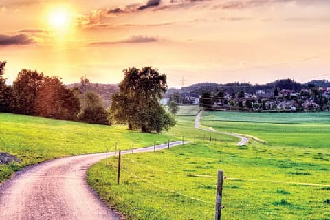 Nature