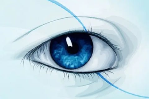 New Project (16)
