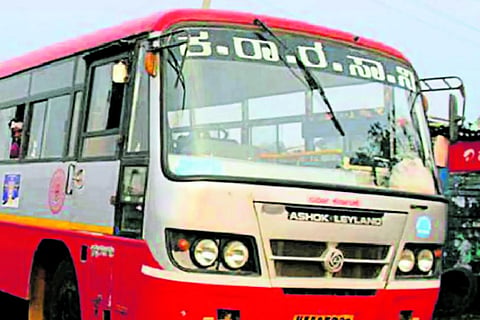 New Project (31)