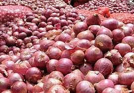 Onion