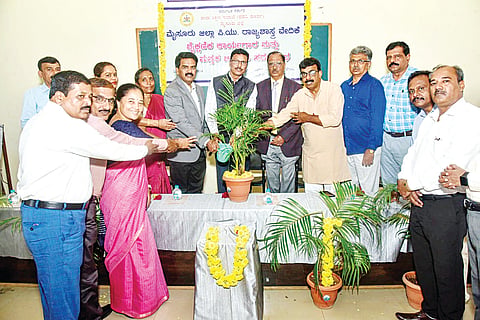 mysore