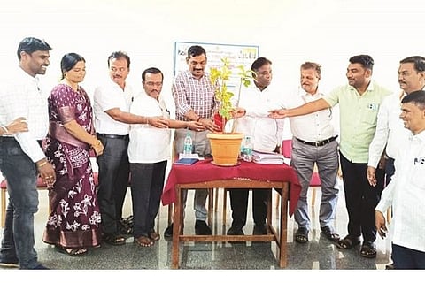 Sandur Education