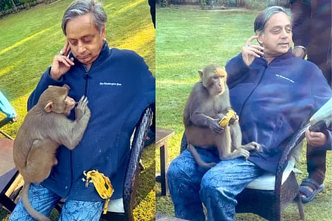 Shashi Tharoor