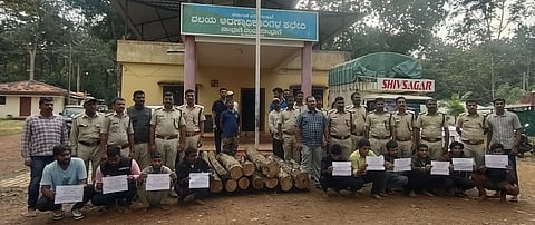 Tree felling