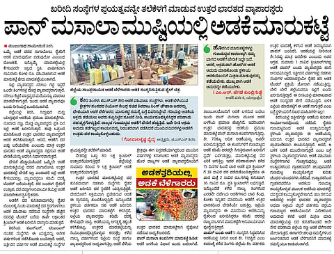 areca story