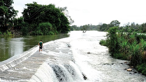 balamuri