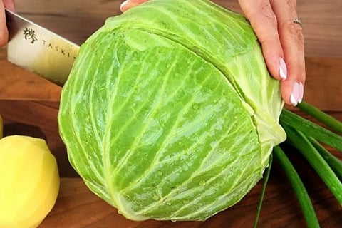 cabbage