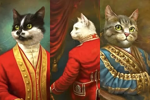 cat