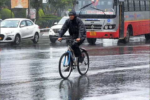 city rain