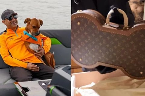 dog suitcase