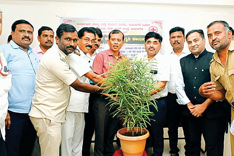 dvg-ksrtc_20241220002547219.jpg