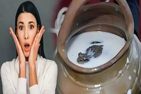 Frogs In Milk