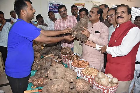 gedde mela