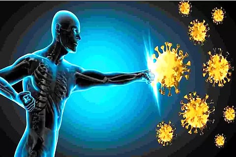 Immunity Booster